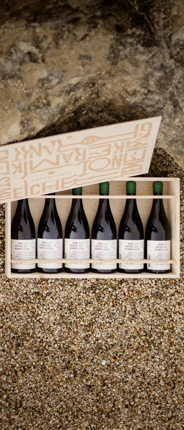 360° Projektbox Grüner Veltliner
