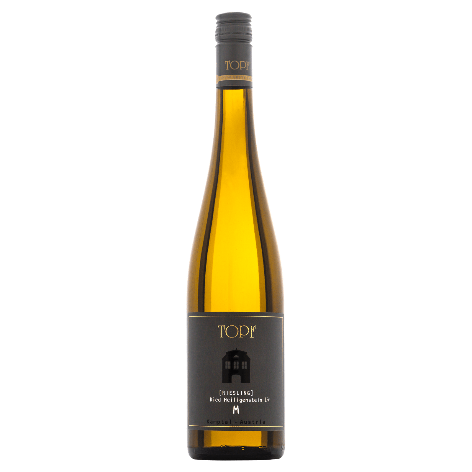 Riesling Ried Heiligenstein Steinwand M 1ÖTW